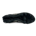 Puma Evospeed FG ‘Razzle Dazzle’